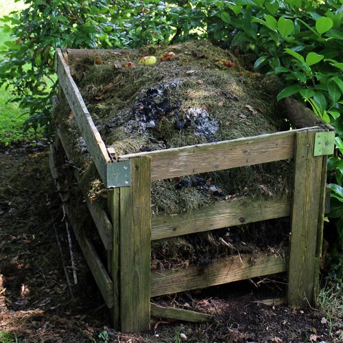 Naturnah gärtnern - oder Verwilderung?