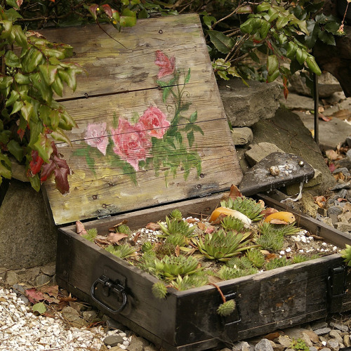 Aktuelle verf&uuml;gbare Parzellen